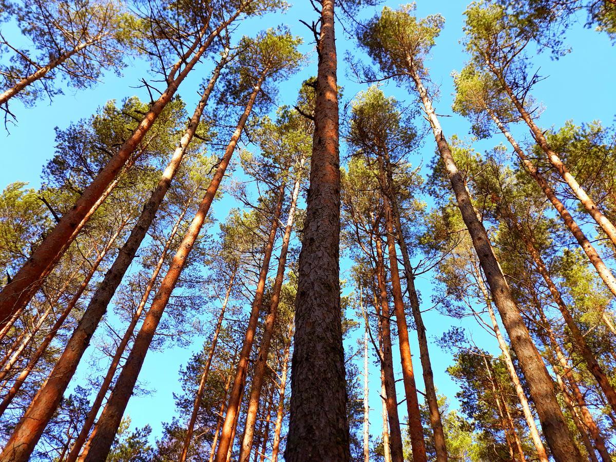 Atputas Vieta Braltirumi Purciems Exterior foto